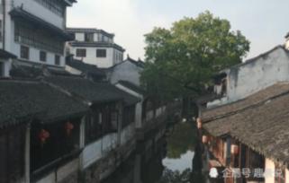 逗小猴开心系列163